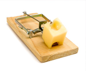 Common Mouse Trap